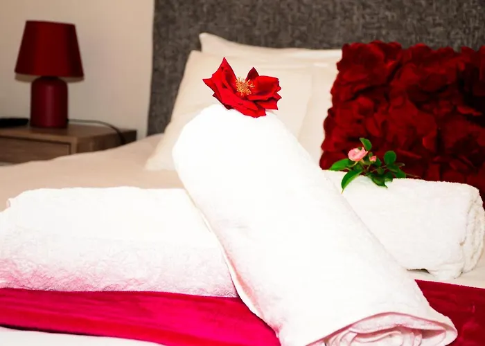 Novus Guest House