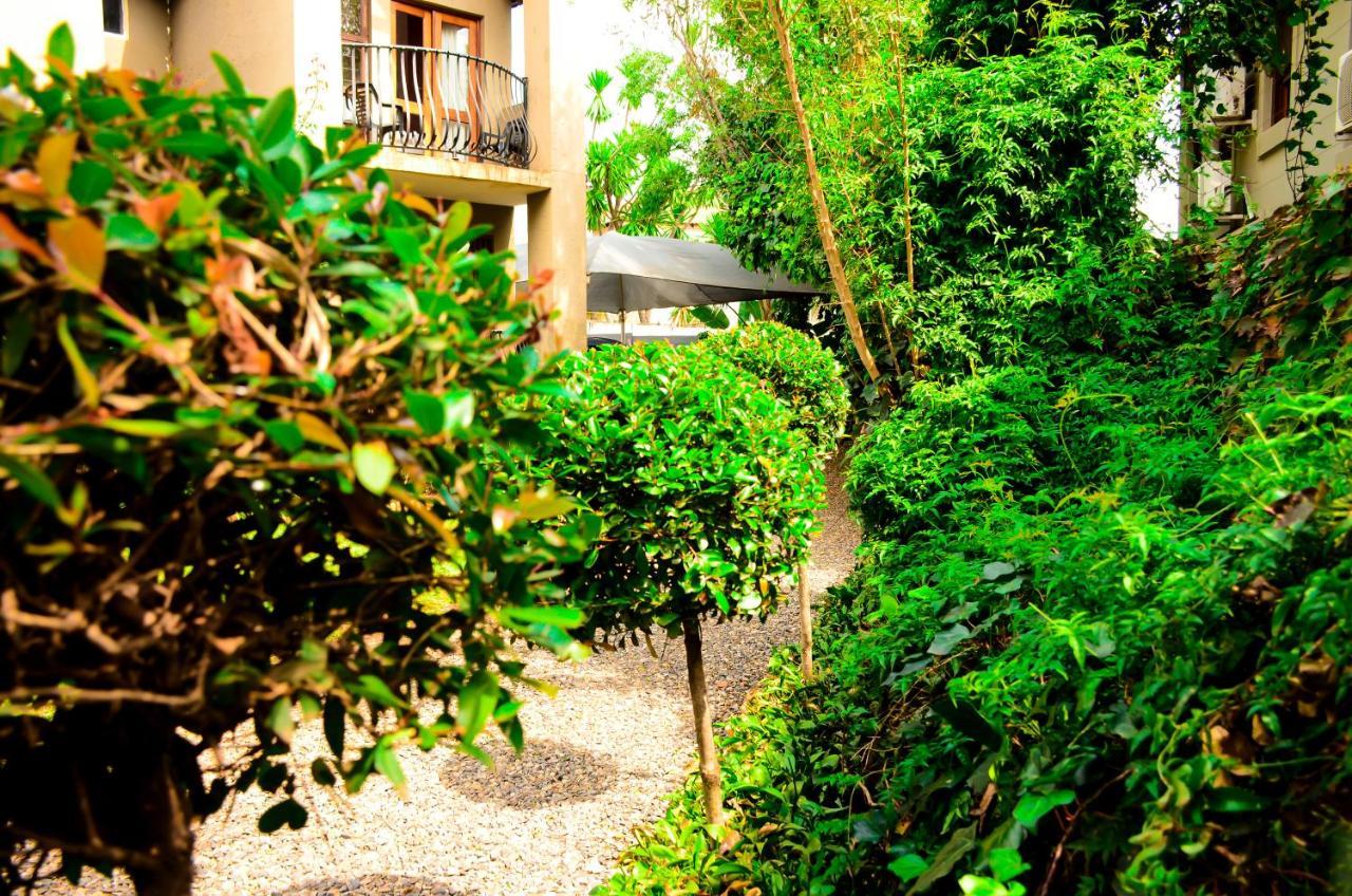 Guest house Novus 2*