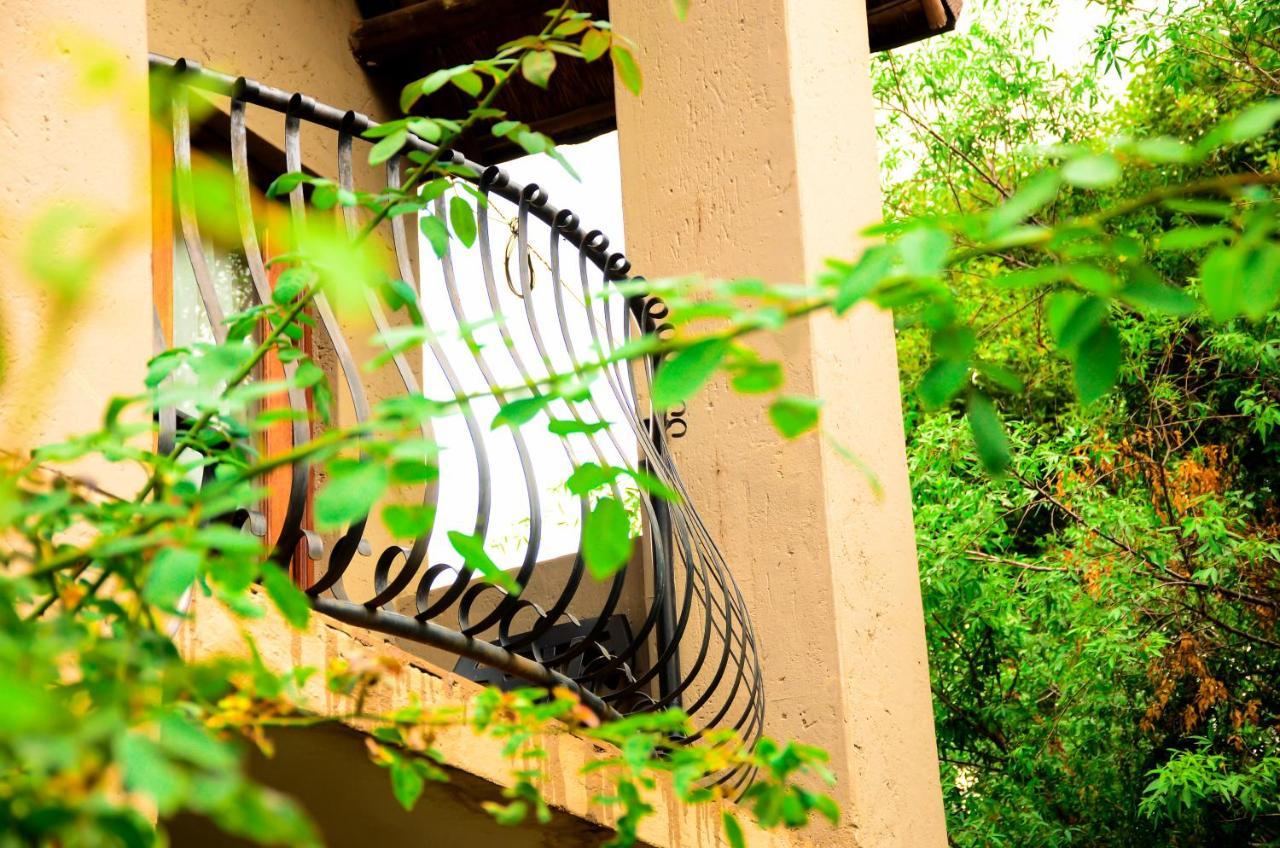 Guest house Novus 2*